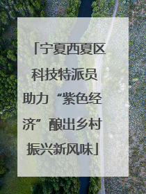 宁夏西夏区 科技特派员助力“紫色经济”酿出乡村振兴新风味