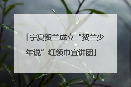 宁夏贺兰成立“贺兰少年说”红领巾宣讲团
