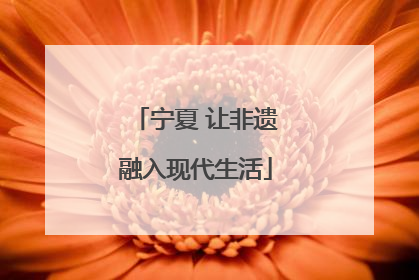 宁夏 让非遗融入现代生活