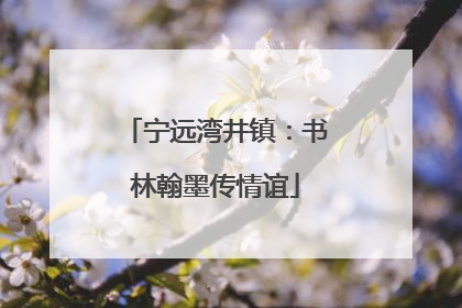 宁远湾井镇：书林翰墨传情谊