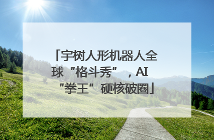 宇树人形机器人全球“格斗秀”，AI“拳王”硬核破圈