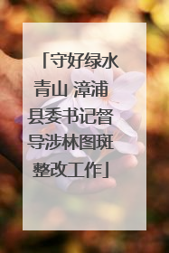 守好绿水青山 漳浦县委书记督导涉林图斑整改工作