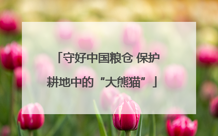 守好中国粮仓 保护耕地中的“大熊猫”
