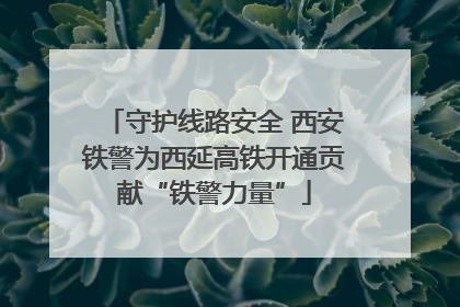 守护线路安全 西安铁警为西延高铁开通贡献“铁警力量”