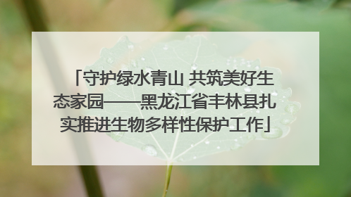 守护绿水青山 共筑美好生态家园——黑龙江省丰林县扎实推进生物多样性保护工作
