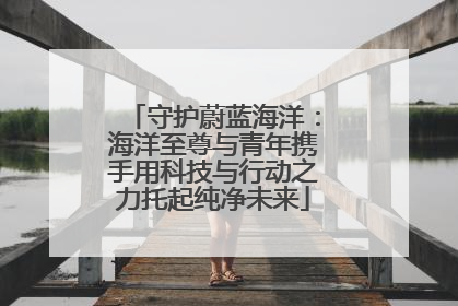 守护蔚蓝海洋：海洋至尊与青年携手用科技与行动之力托起纯净未来