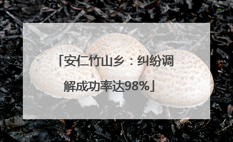 安仁竹山乡：纠纷调解成功率达98%