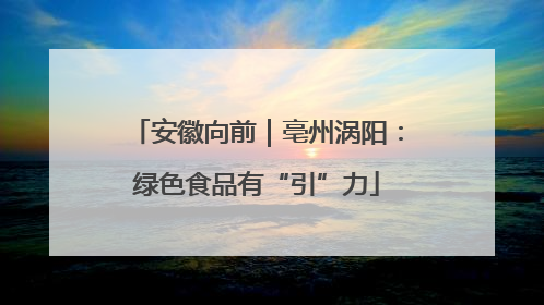 安徽向前｜亳州涡阳：绿色食品有“引”力