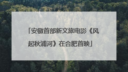 安徽首部新文旅电影《风起秋浦河》在合肥首映