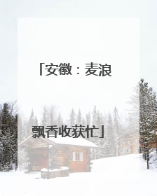 安徽：麦浪飘香收获忙