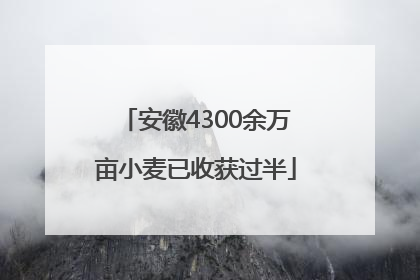 安徽4300余万亩小麦已收获过半