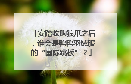 安踏收购狼爪之后，谁会是鸭鸭羽绒服的“国际跳板”？