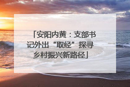 安阳内黄：支部书记外出“取经”探寻乡村振兴新路径