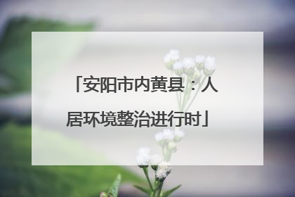 安阳市内黄县：人居环境整治进行时