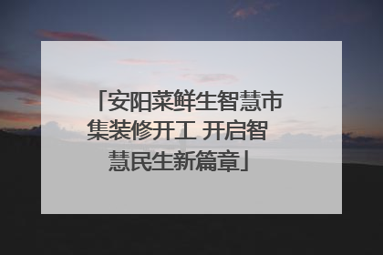 安阳菜鲜生智慧市集装修开工 开启智慧民生新篇章
