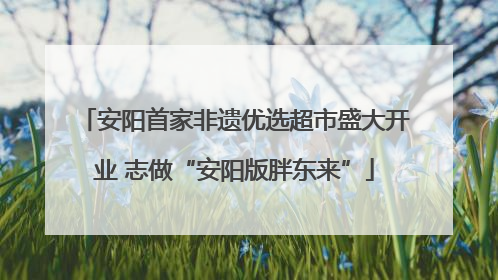 安阳首家非遗优选超市盛大开业 志做“安阳版胖东来”
