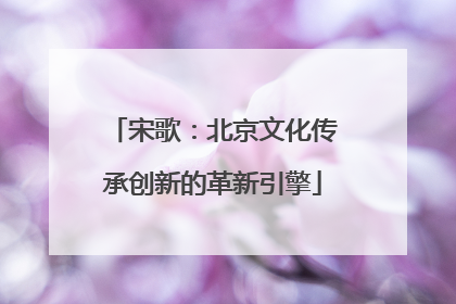 宋歌：北京文化传承创新的革新引擎