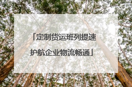 定制货运班列提速 护航企业物流畅通