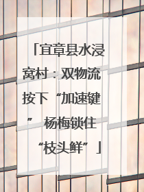 宜章县水浸窝村：双物流按下“加速键” 杨梅锁住“枝头鲜”