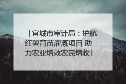 宜城市审计局：护航红薯育苗灌溉项目 助力农业增效农民增收