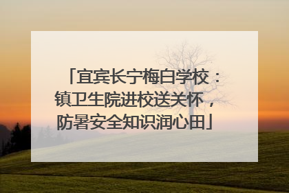 宜宾长宁梅白学校：镇卫生院进校送关怀，防暑安全知识润心田