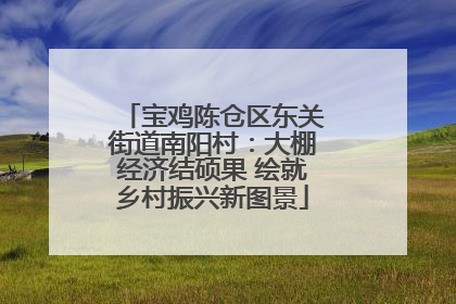 宝鸡陈仓区东关街道南阳村：大棚经济结硕果 绘就乡村振兴新图景