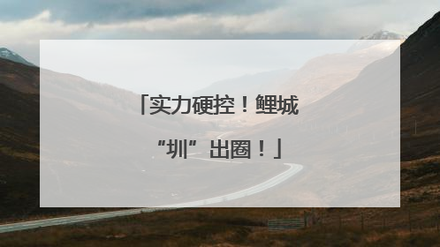 实力硬控！鲤城“圳”出圈！