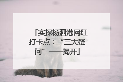 实探杨泗港网红打卡点：“三大疑问”一一揭开