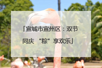 宣城市宣州区：双节同庆 “粽”享欢乐
