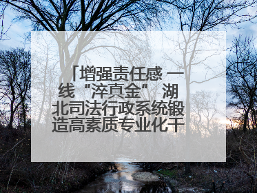 增强责任感 一线“淬真金” 湖北司法行政系统锻造高素质专业化干警队伍