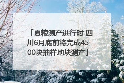 夏粮测产进行时 四川6月底前将完成4500块抽样地块测产