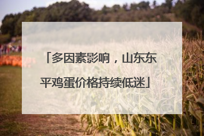 多因素影响，山东东平鸡蛋价格持续低迷