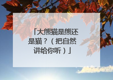 大熊猫是熊还是猫？（把自然讲给你听）