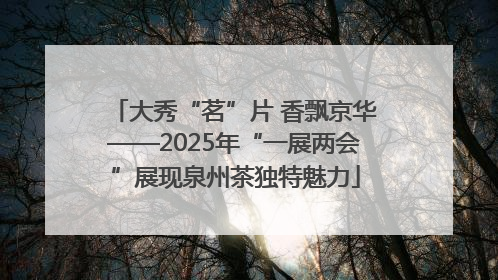大秀“茗”片 香飘京华——2025年“一展两会”展现泉州茶独特魅力