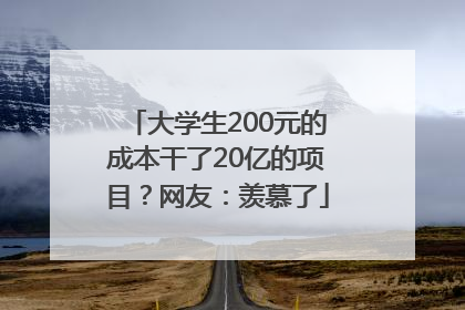大学生200元的成本干了20亿的项目？网友：羡慕了