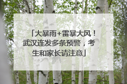 大暴雨+雷暴大风！武汉连发多条预警，考生和家长请注意