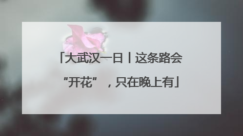 大武汉一日丨这条路会“开花”，只在晚上有
