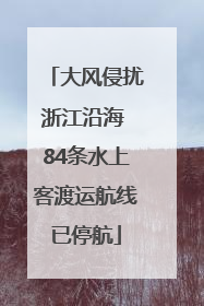 大风侵扰浙江沿海 84条水上客渡运航线已停航