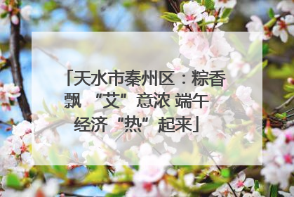 天水市秦州区：粽香飘 “艾”意浓 端午经济“热”起来