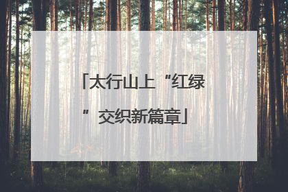 太行山上“红绿”交织新篇章