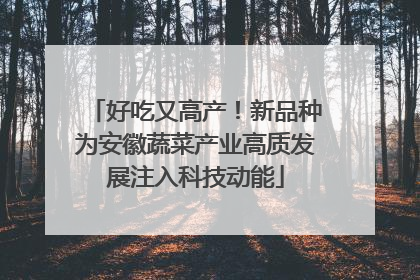 好吃又高产！新品种为安徽蔬菜产业高质发展注入科技动能