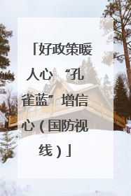 好政策暖人心 “孔雀蓝”增信心（国防视线）