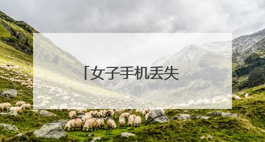 女子手机丢失 芦淞区建宁派出所民警倾力找回