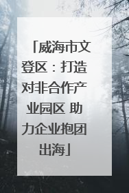 威海市文登区：打造对非合作产业园区 助力企业抱团出海