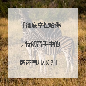 彻底拿捏哈佛，特朗普手中的牌还有几张？