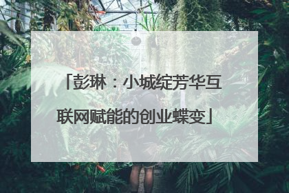 彭琳：小城绽芳华互联网赋能的创业蝶变