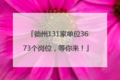 德州131家单位3673个岗位，等你来！