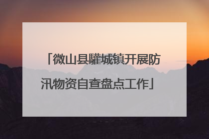 微山县驩城镇开展防汛物资自查盘点工作