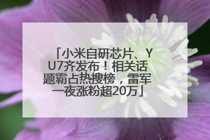 小米自研芯片、YU7齐发布！相关话题霸占热搜榜，雷军一夜涨粉超20万