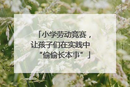 小学劳动竞赛，让孩子们在实践中“偷偷长本事”